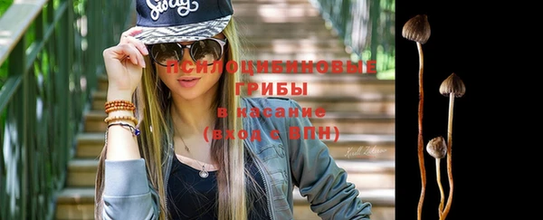 2c-b Алзамай